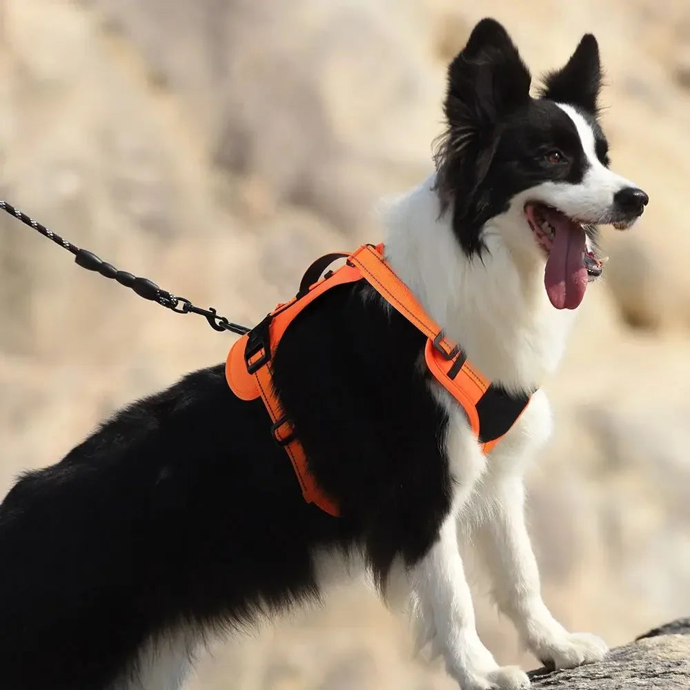 Arnés Táctico Para Perro | Antitirones, Reflejante Y Acolchado