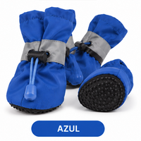 Botas Impermeables All-Weather