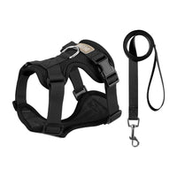 Pechera y Correa Easy-Walk