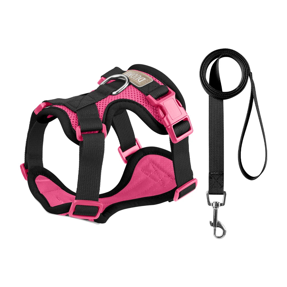 Pechera y Correa Easy-Walk