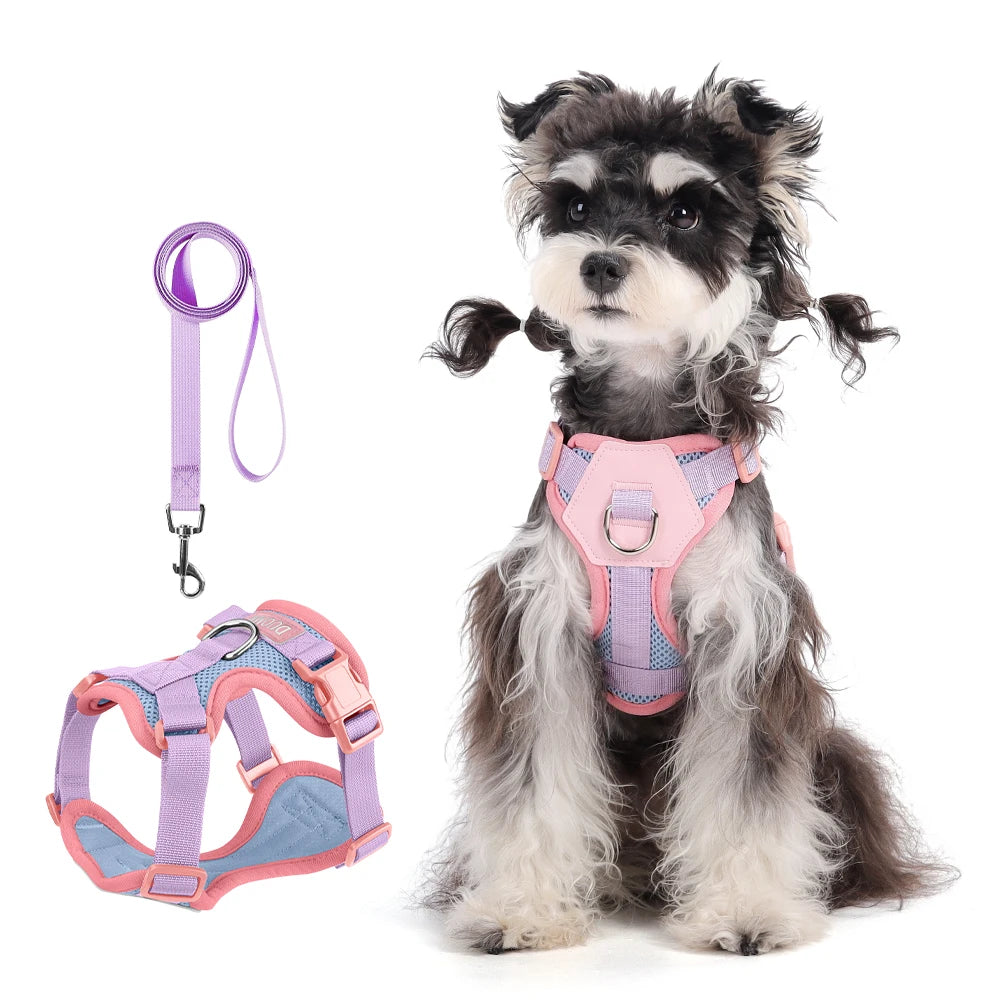 Pechera y Correa Easy-Walk