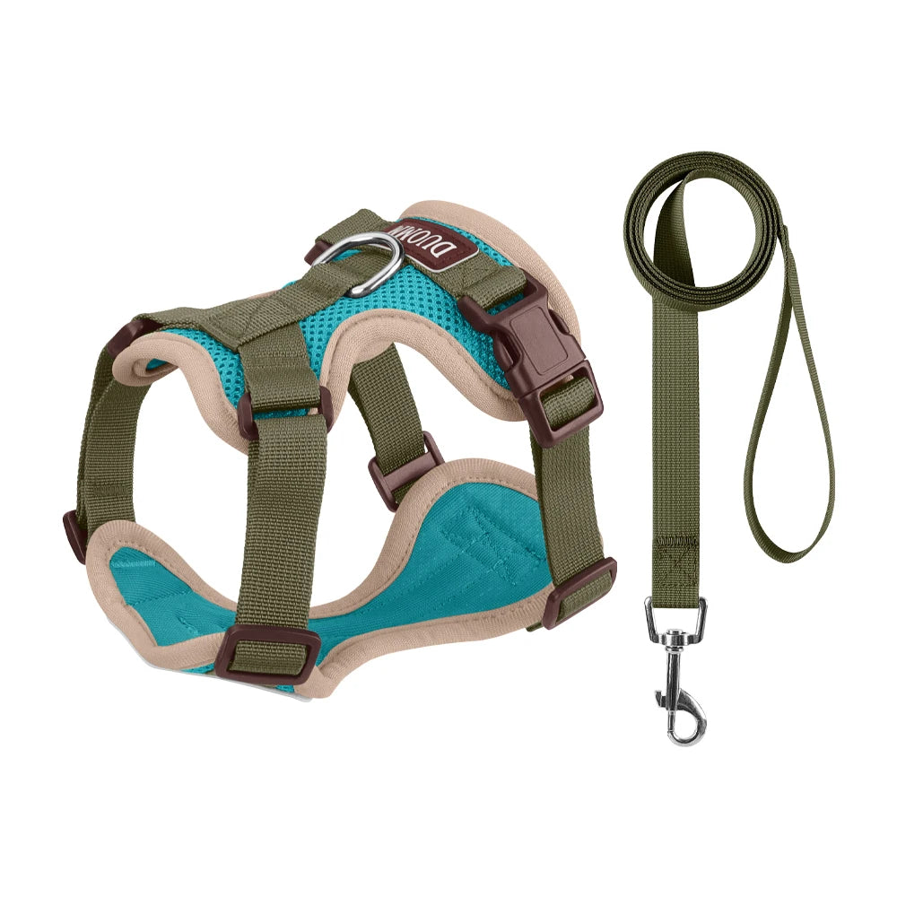 Pechera y Correa Easy-Walk