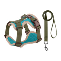 Pechera y Correa Easy-Walk