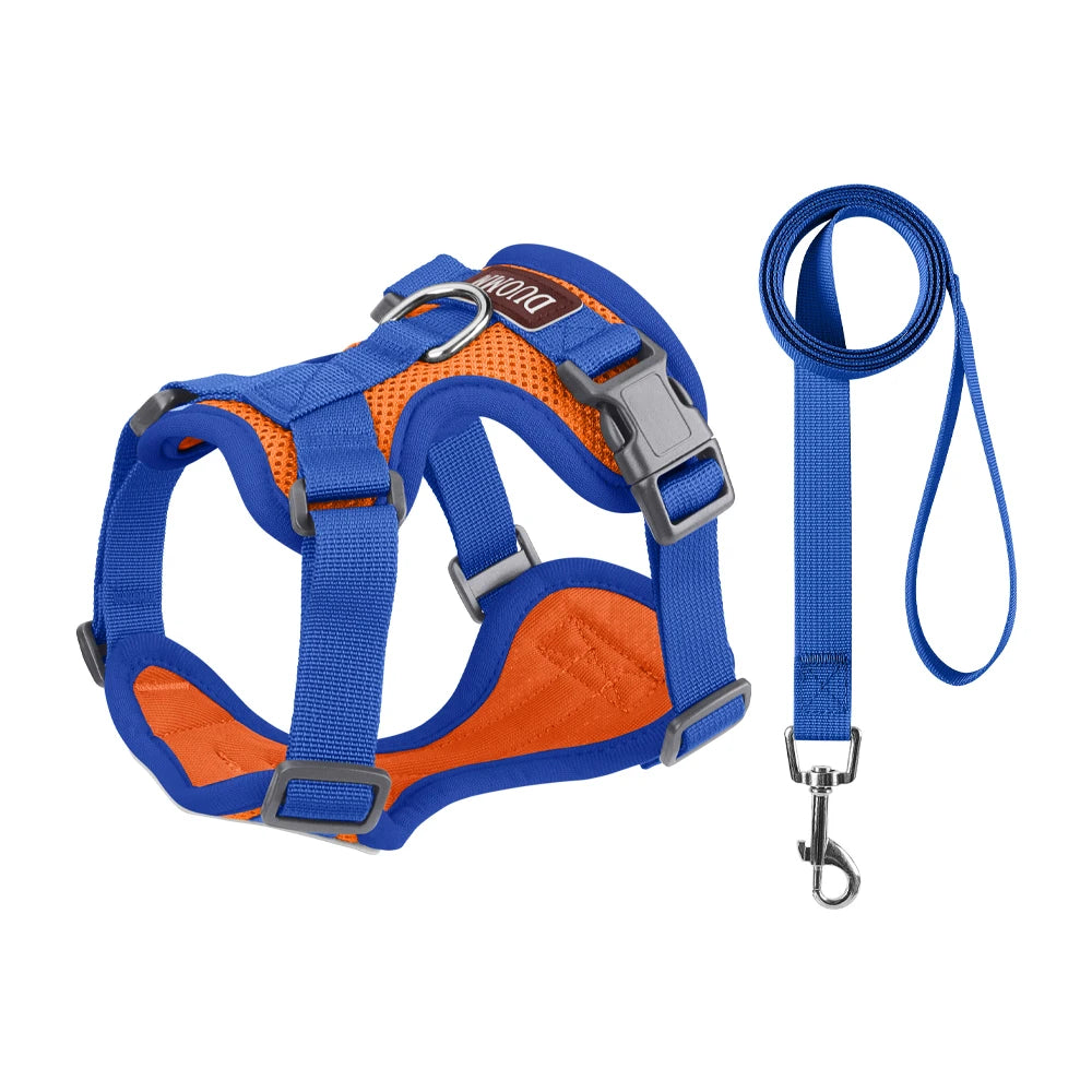Pechera y Correa Easy-Walk