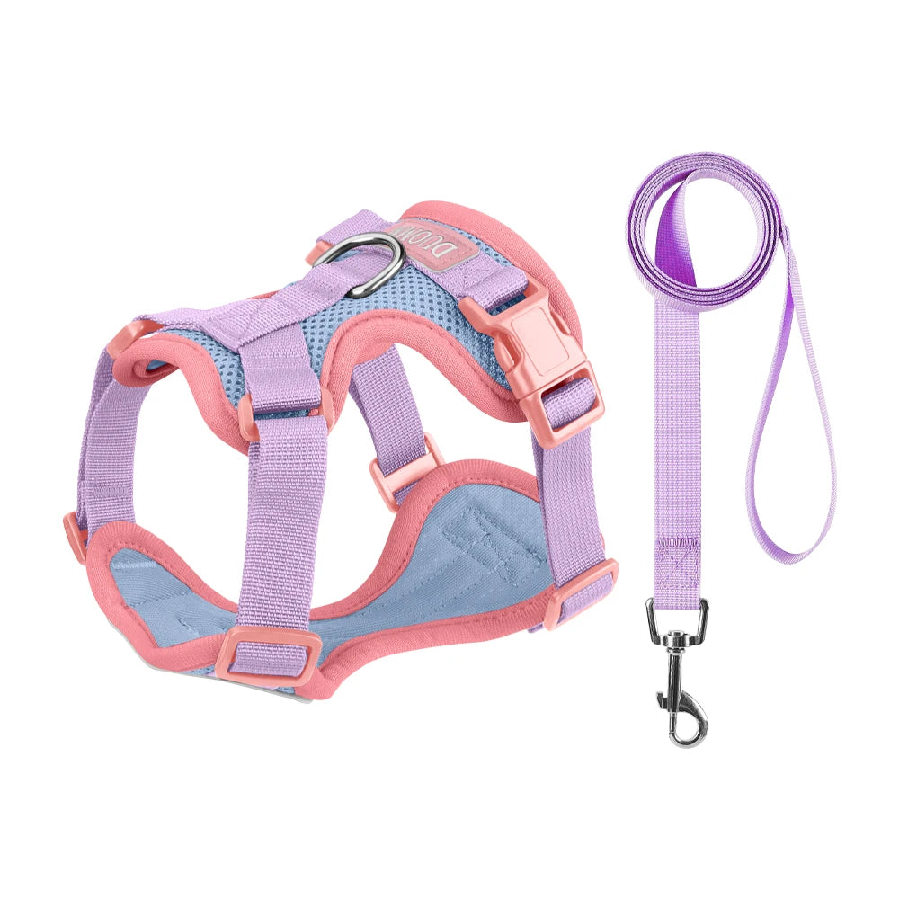Pechera y Correa Easy-Walk