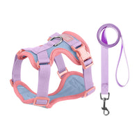 Pechera y Correa Easy-Walk